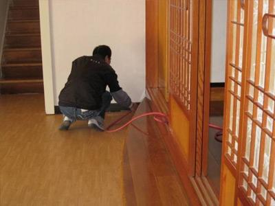 家里有該白蟻怎么辦？